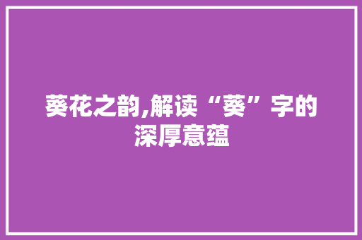 葵花之韵,解读“葵”字的深厚意蕴
