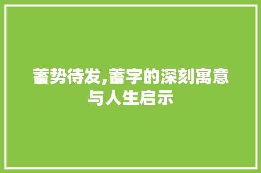 蓄势待发,蓄字的深刻寓意与人生启示