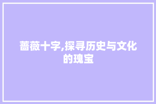 蔷薇十字,探寻历史与文化的瑰宝