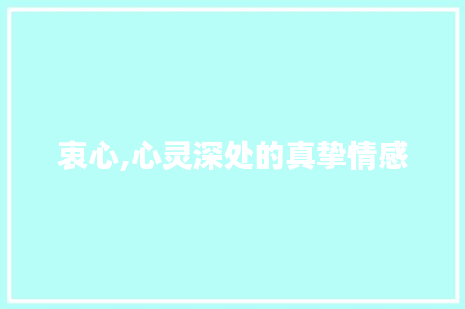 衷心,心灵深处的真挚情感