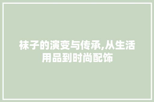 袜子的演变与传承,从生活用品到时尚配饰
