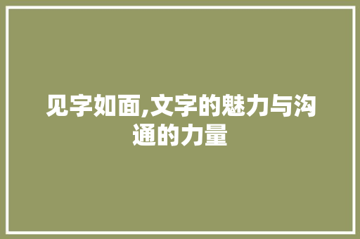 见字如面,文字的魅力与沟通的力量