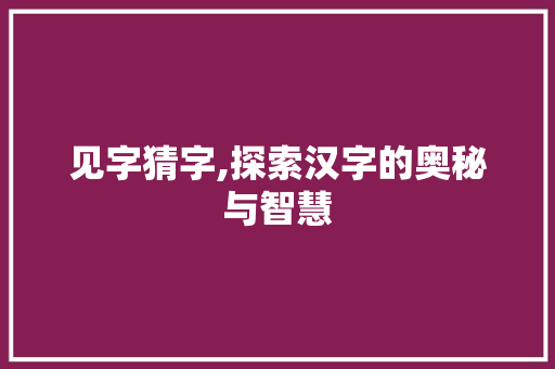 见字猜字,探索汉字的奥秘与智慧