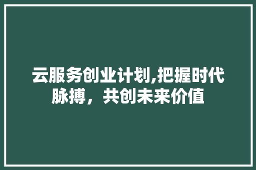 云服务创业计划,把握时代脉搏，共创未来价值