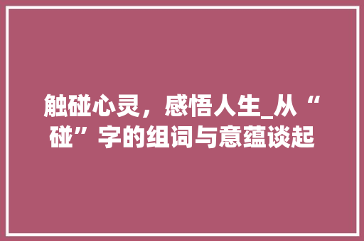 触碰心灵，感悟人生_从“碰”字的组词与意蕴谈起