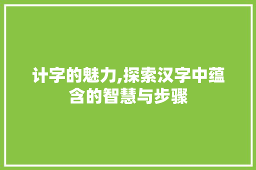 计字的魅力,探索汉字中蕴含的智慧与步骤