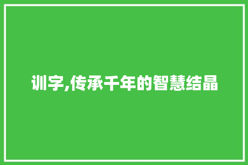 训字,传承千年的智慧结晶