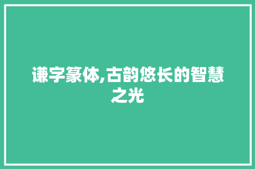 谦字篆体,古韵悠长的智慧之光
