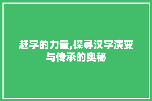 赶字的力量,探寻汉字演变与传承的奥秘
