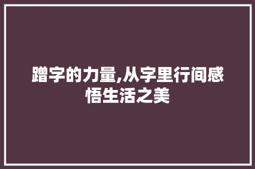 蹭字的力量,从字里行间感悟生活之美