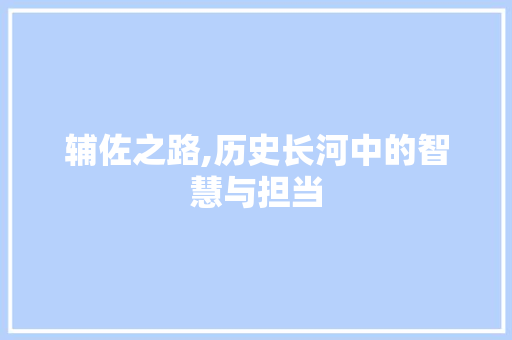 辅佐之路,历史长河中的智慧与担当