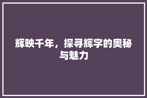 辉映千年，探寻辉字的奥秘与魅力