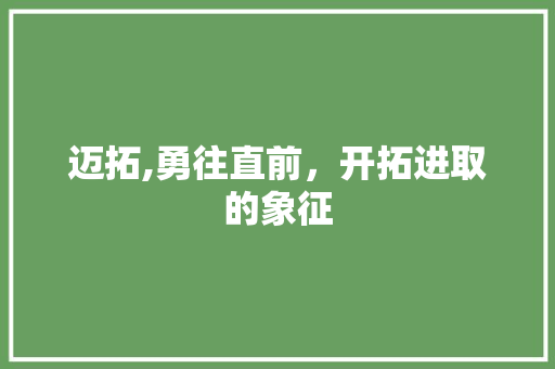 迈拓,勇往直前，开拓进取的象征