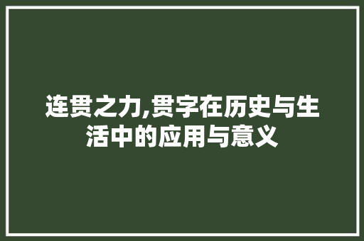 连贯之力,贯字在历史与生活中的应用与意义