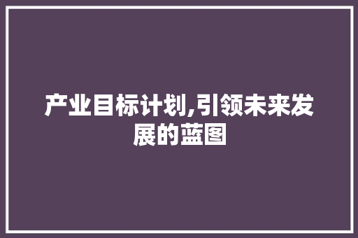 产业目标计划,引领未来发展的蓝图