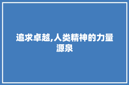 追求卓越,人类精神的力量源泉 反义词汇