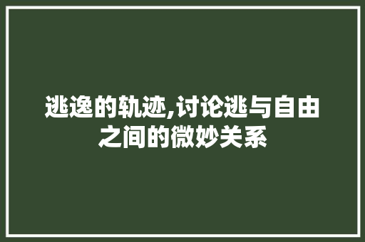 逃逸的轨迹,讨论逃与自由之间的微妙关系