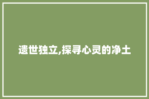 遗世独立,探寻心灵的净土