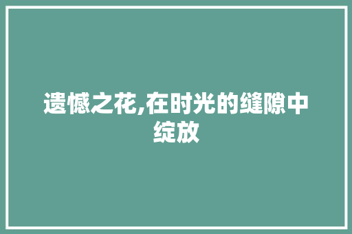 遗憾之花,在时光的缝隙中绽放