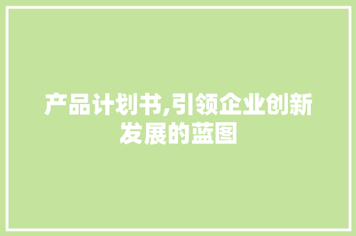 产品计划书,引领企业创新发展的蓝图