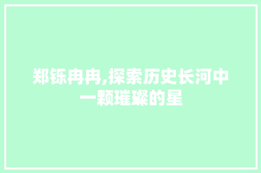 郑铄冉冉,探索历史长河中一颗璀璨的星