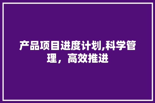 产品项目进度计划,科学管理，高效推进