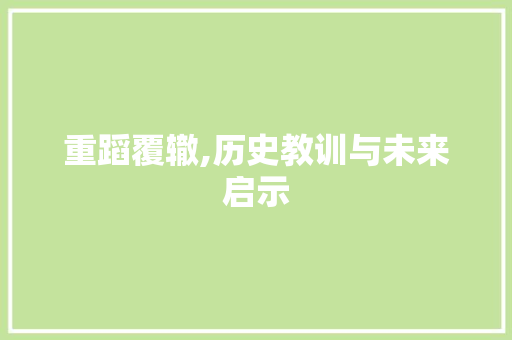 重蹈覆辙,历史教训与未来启示