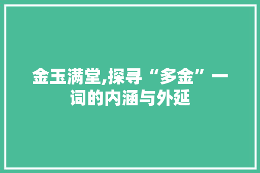 金玉满堂,探寻“多金”一词的内涵与外延