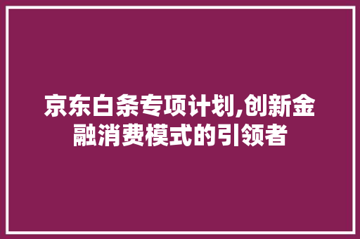 京东白条专项计划,创新金融消费模式的引领者
