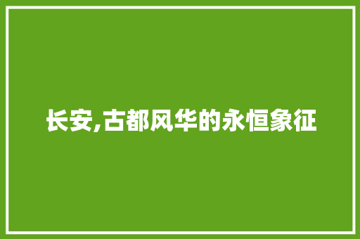 长安,古都风华的永恒象征