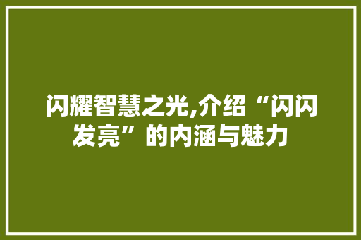 闪耀智慧之光,介绍“闪闪发亮”的内涵与魅力