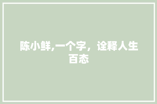 陈小鲜,一个字，诠释人生百态