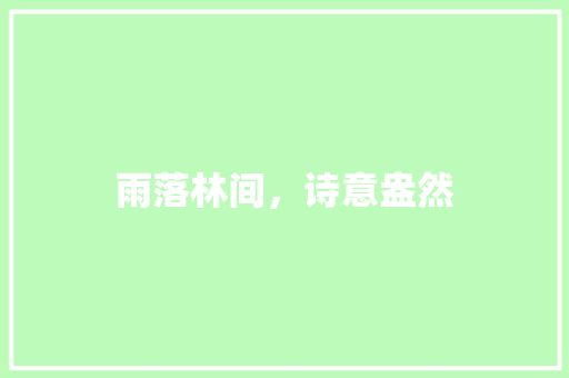 雨落林间，诗意盎然