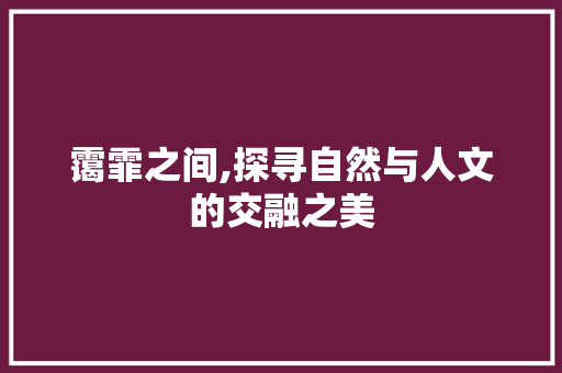 霭霏之间,探寻自然与人文的交融之美