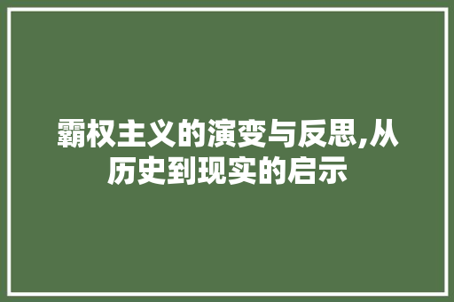 霸权主义的演变与反思,从历史到现实的启示 汉字拼音
