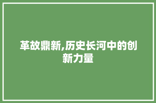 革故鼎新,历史长河中的创新力量