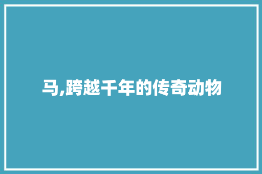 马,跨越千年的传奇动物