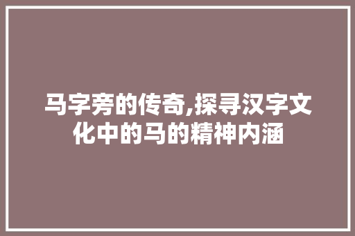 马字旁的传奇,探寻汉字文化中的马的精神内涵