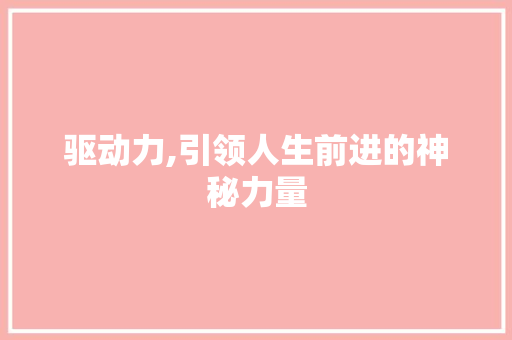 驱动力,引领人生前进的神秘力量