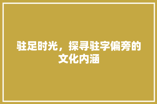 驻足时光，探寻驻字偏旁的文化内涵
