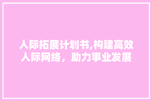 人际拓展计划书,构建高效人际网络，助力事业发展