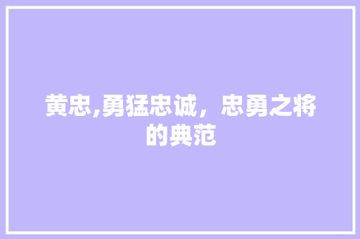 黄忠,勇猛忠诚，忠勇之将的典范