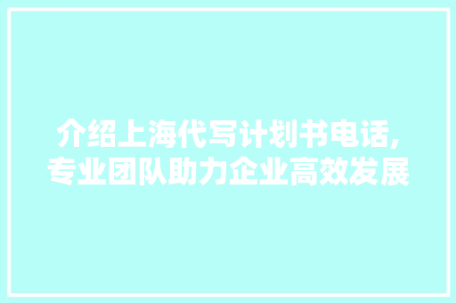 介绍上海代写计划书电话,专业团队助力企业高效发展