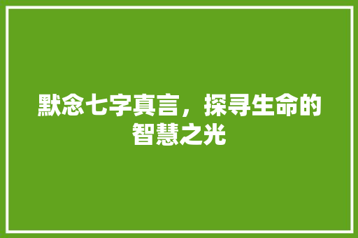 默念七字真言，探寻生命的智慧之光 短语