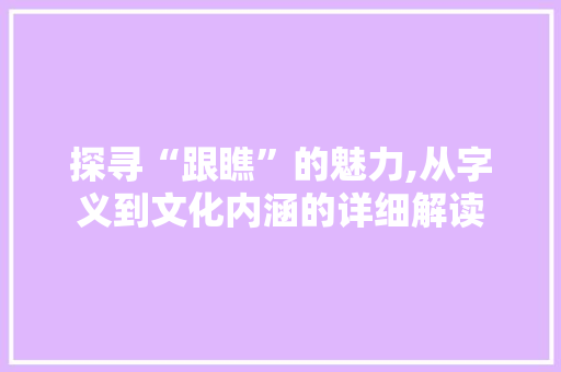 探寻“跟瞧”的魅力,从字义到文化内涵的详细解读