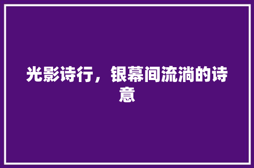 光影诗行，银幕间流淌的诗意 短语