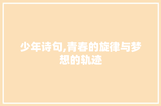 少年诗句,青春的旋律与梦想的轨迹