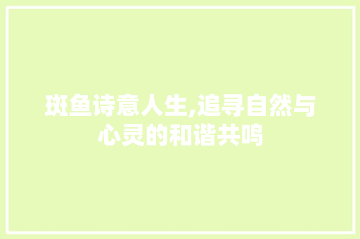 斑鱼诗意人生,追寻自然与心灵的和谐共鸣