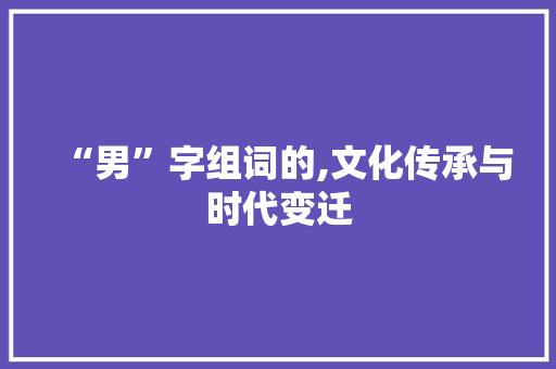 “男”字组词的,文化传承与时代变迁