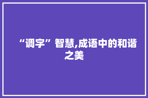 “调字”智慧,成语中的和谐之美